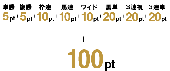 単勝5pt＋複勝5pt＋枠連10pt＋馬連10pt＋ワイド10pt＋馬単20pt＋3連複20pt＋3連単20pt＝100pt